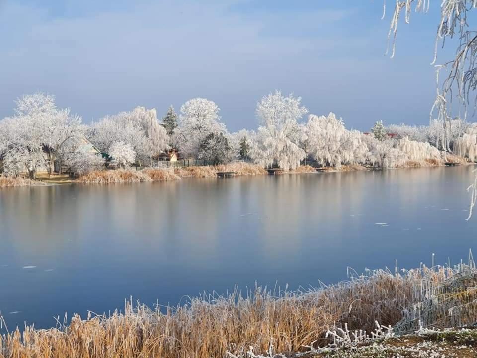 Oaza Kuca Za Odmor Villa Curug Buitenkant foto