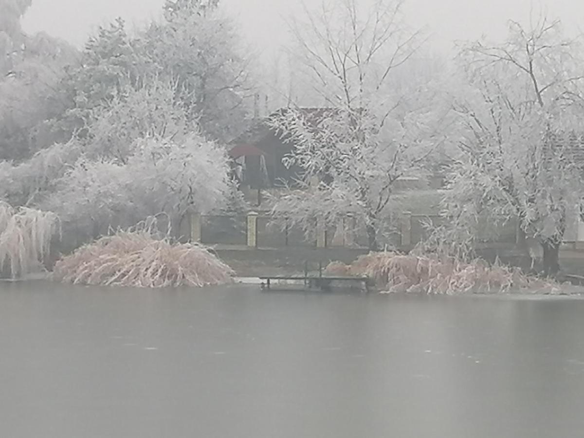 Oaza Kuca Za Odmor Villa Curug Buitenkant foto